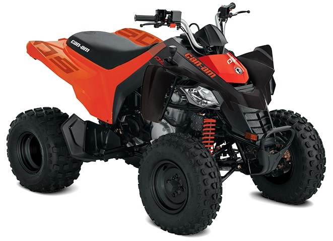 /fileuploads/Marcas/Can-Am/ATV/Renegade/_Benimoto-Can-Am-DS-250.jpg