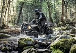 Brute Force 750 4x4i EPS</span