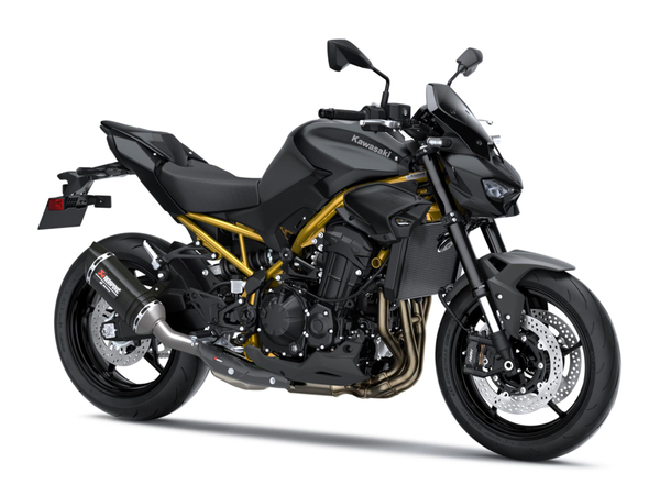 /fileuploads/Marcas/Kawasaki/Motos/Supernaked/_Benimoto-Kawasaki-Z900-Performance-1.png