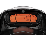 RXT-X RS 300</stro
