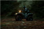 KINGQUAD 750 AUTOM. 4X4 (LT-A750XP)