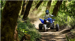 YFM700R SE (Matriculado)