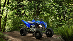 YFM700R SE (Matriculado)