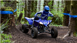 YFZ450R