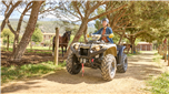 KODIAK 450 EPS SE