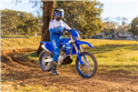 WR450F