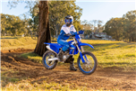 WR450F