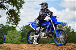 YZ250