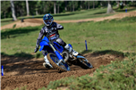 YZ250