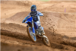 YZ250