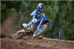 YZ250
