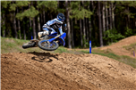 YZ250
