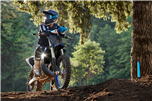 YZ250 MONSTER ENERGY YAMAHA RACING
