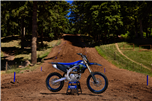 YZ450F MONSTER ENERGY RACING EDITION