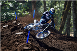 YZ450F MONSTER ENERGY RACING EDITION