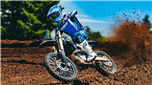 YZ450F MONSTER ENERGY RACING EDITION