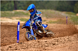 YZ65