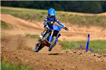 YZ65