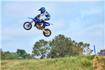 YZ65