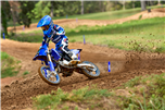 YZ65