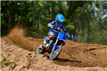 YZ65