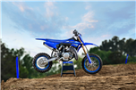 YZ65