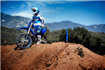 YZ250