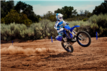 YZ250