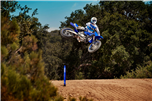 YZ250