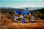 YZ250