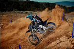 YZ450F Monster Energy