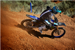 YZ450F Monster Energy