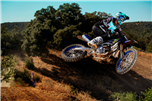 YZ450F Monster Energy