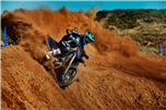 YZ450F Monster Energy