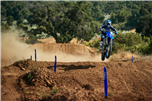 YZ450F