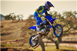 YZ65