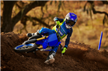 YZ65