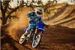 YZ65