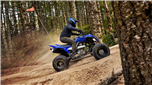 YFM700R SE (Matriculado)